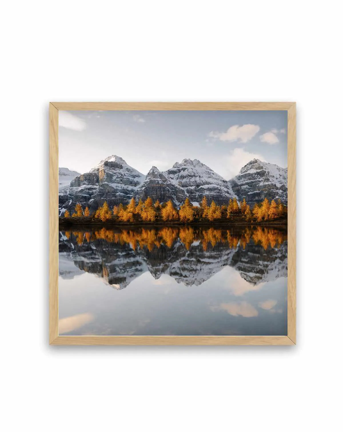 Golden Pines by Kalen X | Art Print from Olive et Oriel where you can shop wallpaper and artworks online