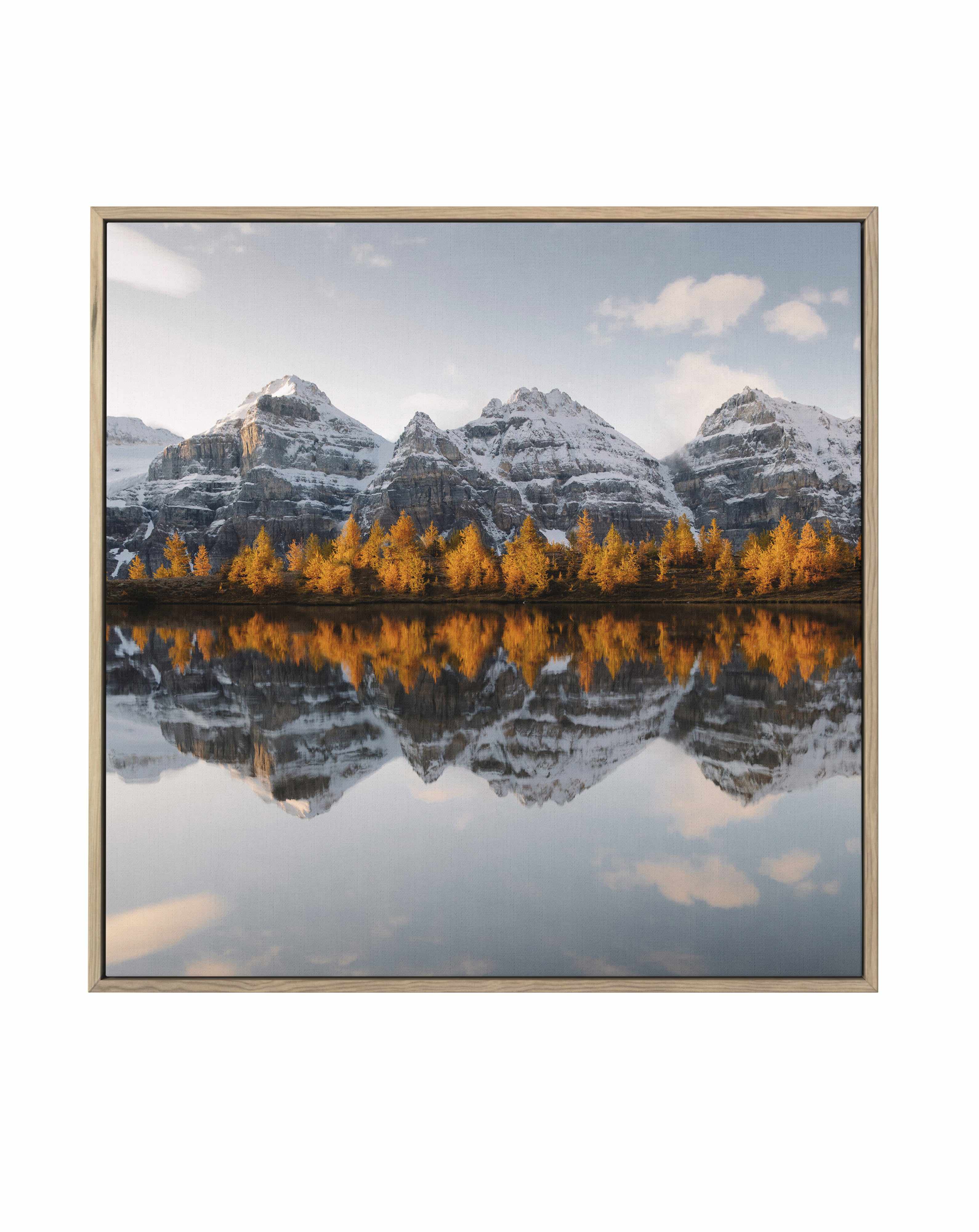 Golden Pines by Kalen X | Framed Canvas Art Print