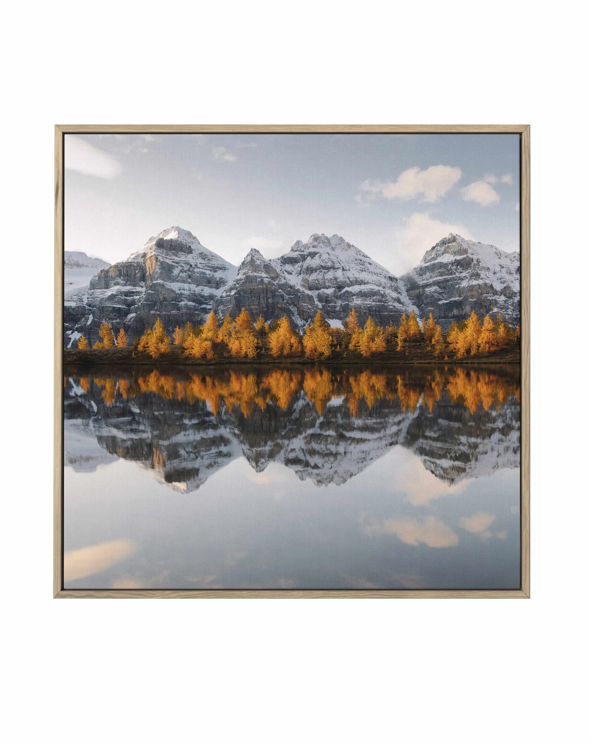 Golden Pines by Kalen X | Framed Canvas Art Print from Olive et Oriel where you can shop wallpaper and artworks online