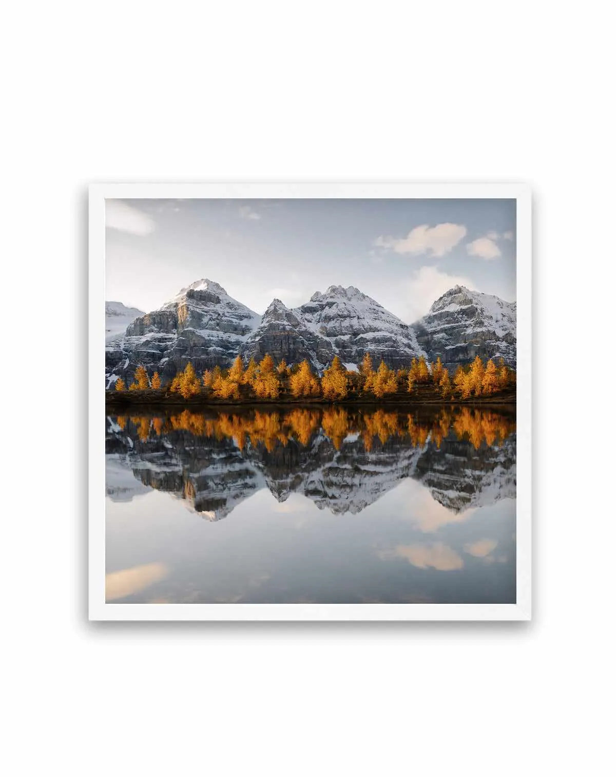 Golden Pines by Kalen X | Art Print from Olive et Oriel where you can shop wallpaper and artworks online