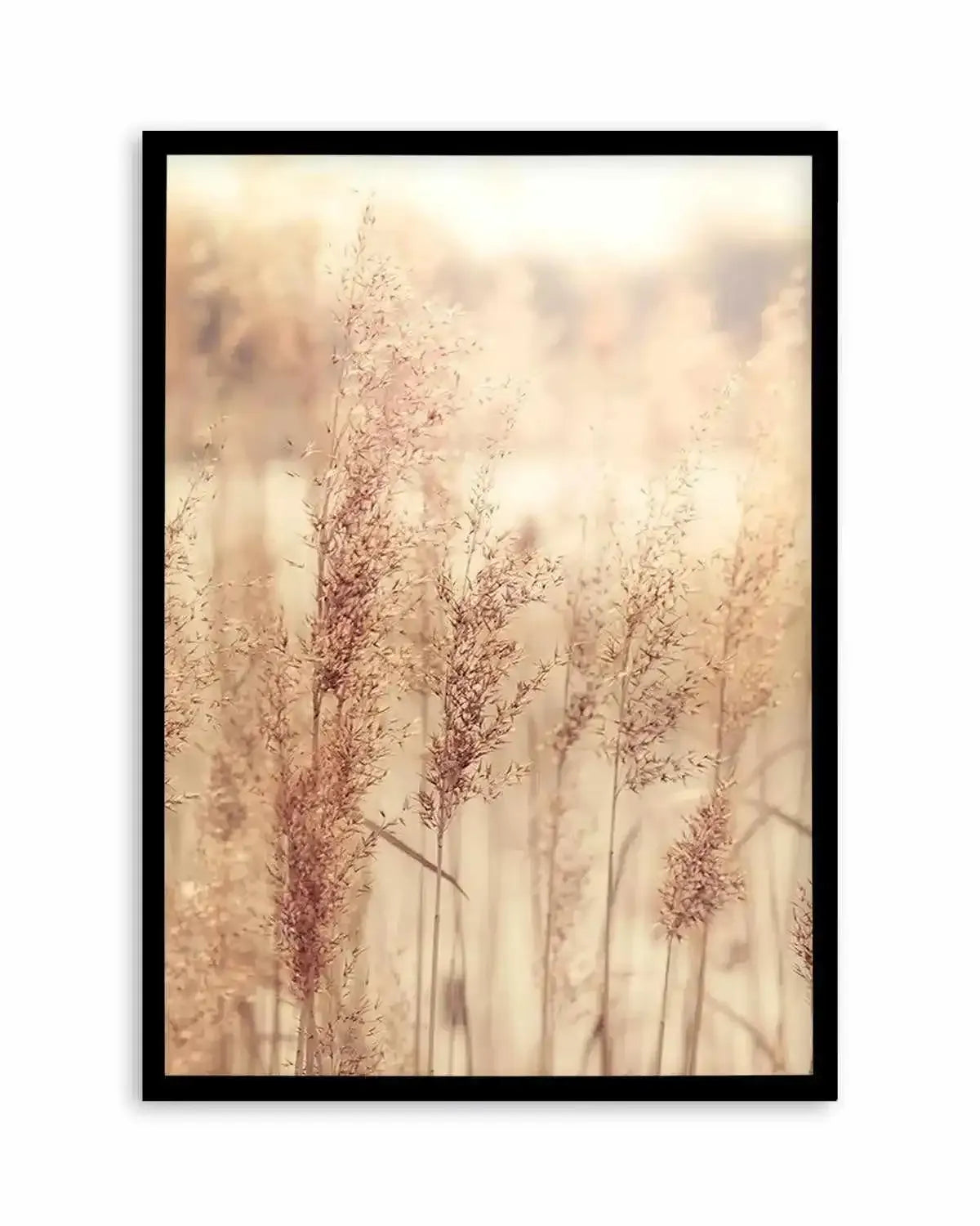 Golden Seagrass Art Print from Olive et Oriel where you can shop wallpaper and artworks online