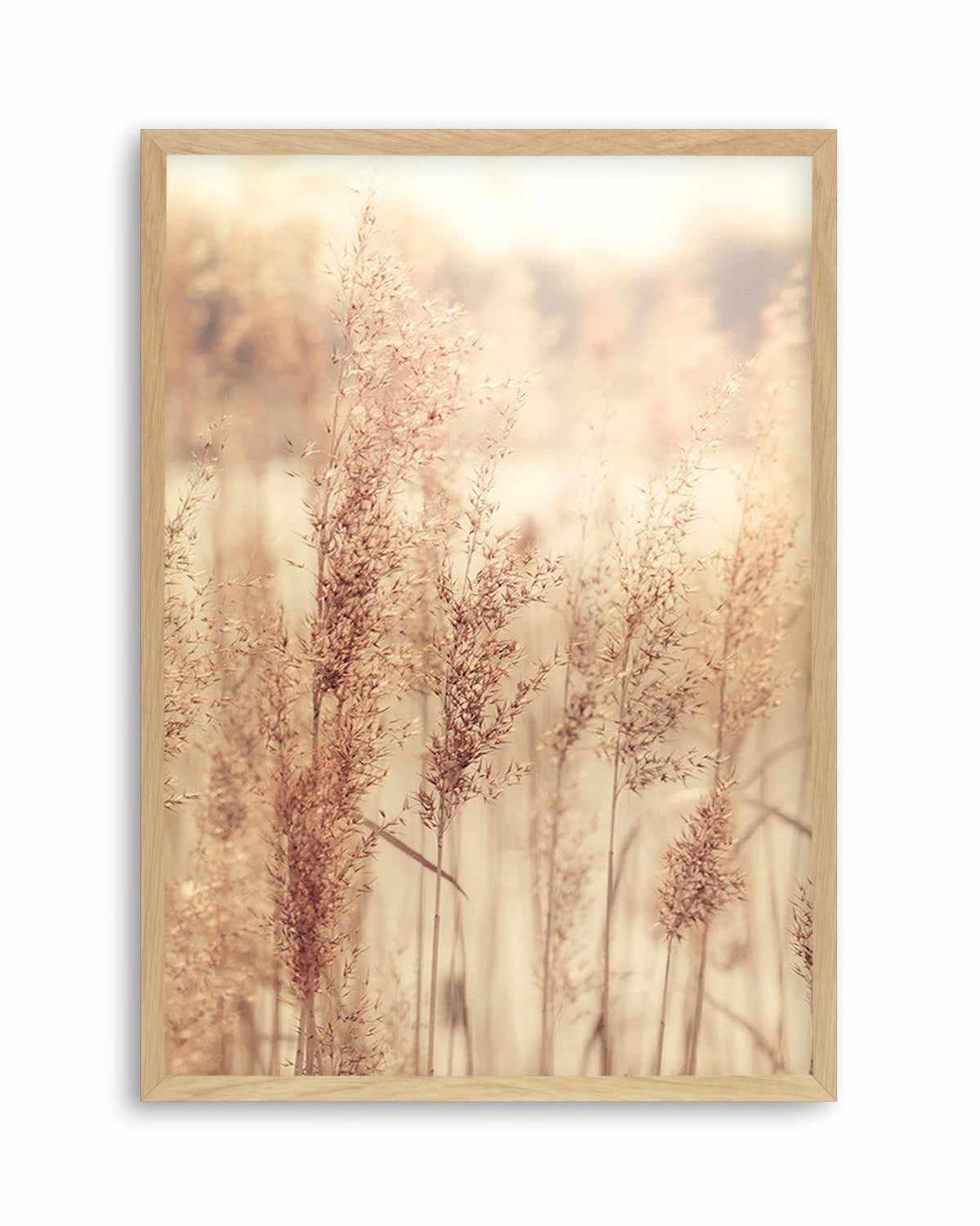 Golden Seagrass Art Print