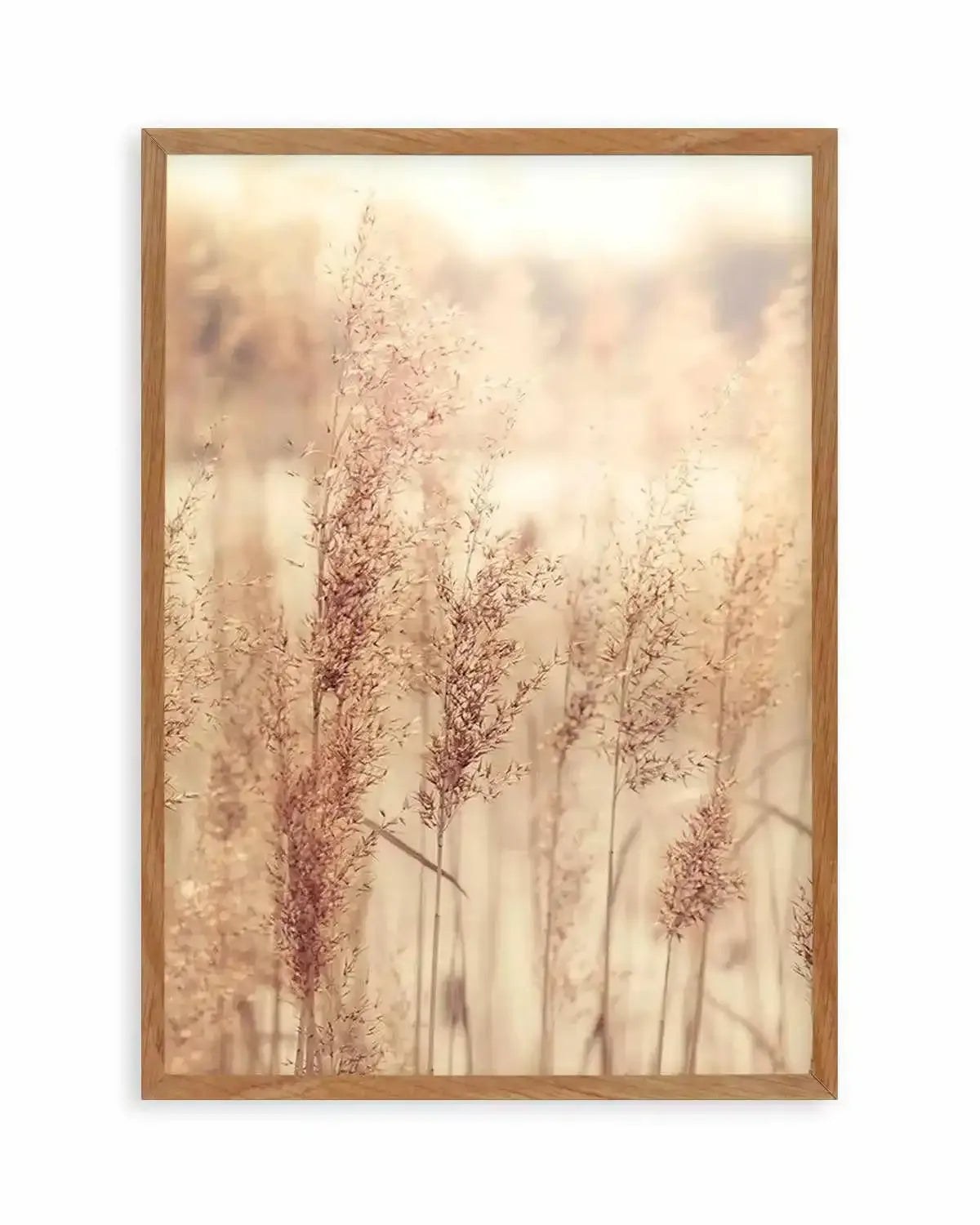 Golden Seagrass Art Print from Olive et Oriel where you can shop wallpaper and artworks online