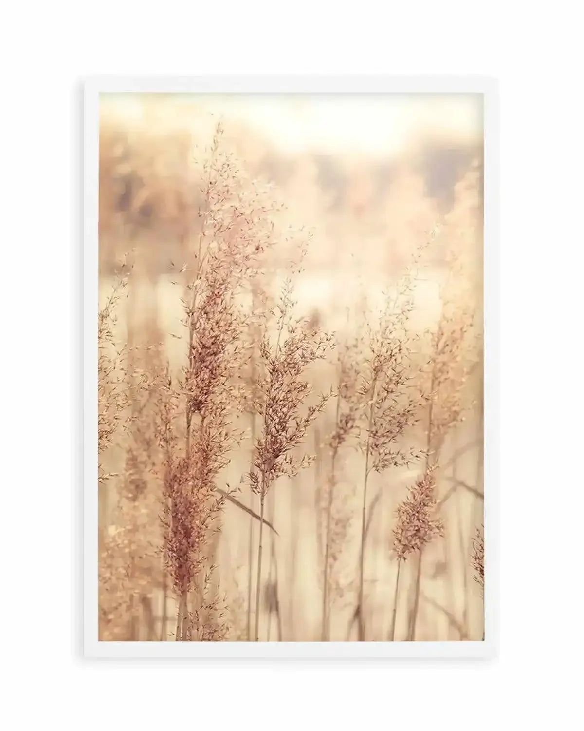 Golden Seagrass Art Print from Olive et Oriel where you can shop wallpaper and artworks online