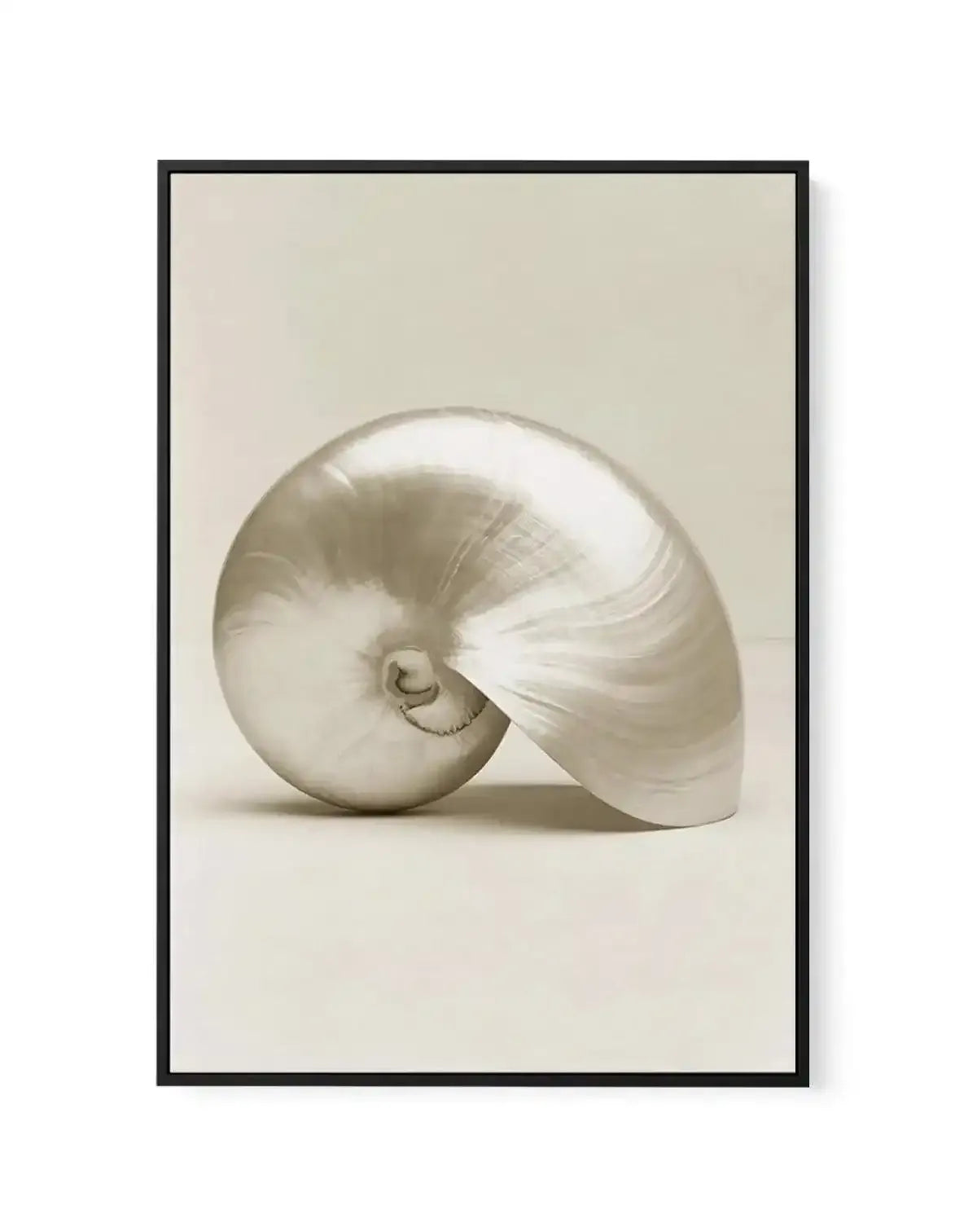 Golden Nautilus | Framed Canvas-CANVAS-You can shop wall art online with Olive et Oriel for everything from abstract art to fun kids wall art. Our beautiful modern art prints and canvas art are available from large canvas prints to wall art paintings and our proudly Australian artwork collection offers only the highest quality framed large wall art and canvas art Australia - You can buy fashion photography prints or Hampton print posters and paintings on canvas from Olive et Oriel and have them 