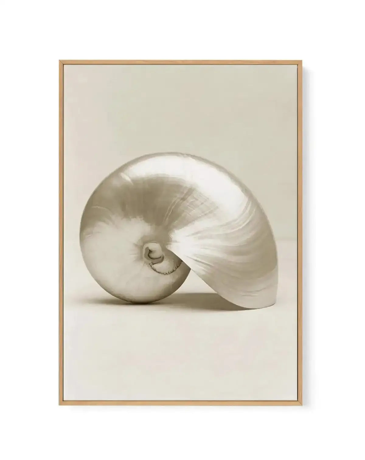 Golden Nautilus | Framed Canvas-CANVAS-You can shop wall art online with Olive et Oriel for everything from abstract art to fun kids wall art. Our beautiful modern art prints and canvas art are available from large canvas prints to wall art paintings and our proudly Australian artwork collection offers only the highest quality framed large wall art and canvas art Australia - You can buy fashion photography prints or Hampton print posters and paintings on canvas from Olive et Oriel and have them 