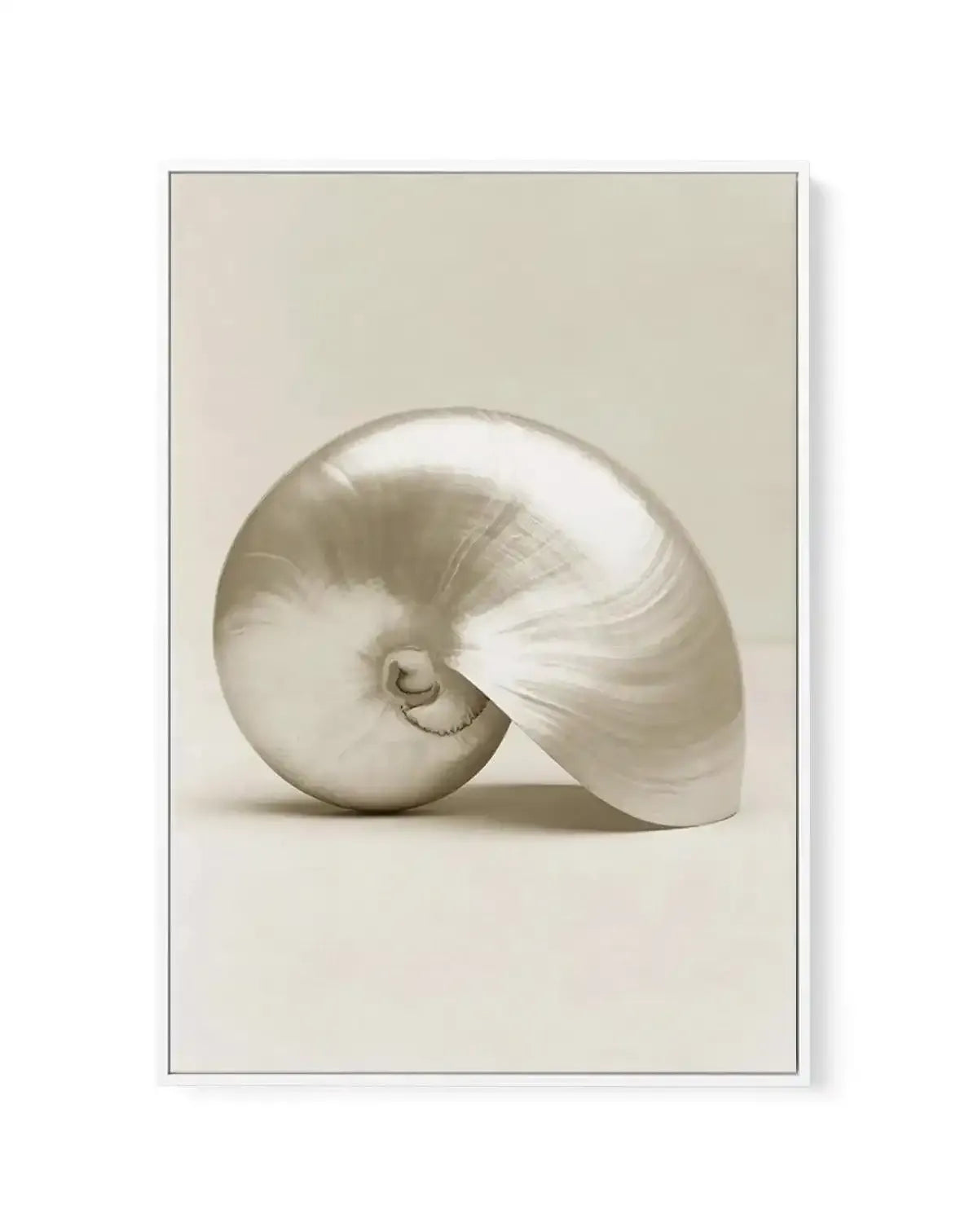 Golden Nautilus | Framed Canvas-CANVAS-You can shop wall art online with Olive et Oriel for everything from abstract art to fun kids wall art. Our beautiful modern art prints and canvas art are available from large canvas prints to wall art paintings and our proudly Australian artwork collection offers only the highest quality framed large wall art and canvas art Australia - You can buy fashion photography prints or Hampton print posters and paintings on canvas from Olive et Oriel and have them 