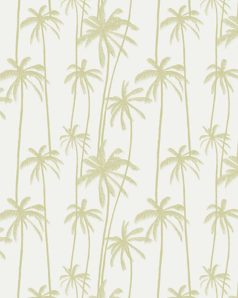 Peel and stick wallpaper featuring a repeating pattern of hand-drawn palm trees in a muted pistachio green on a soft white background. The botanical design has a loose, organic quality with visible line texture, depicting palms of varying heights and frond sizes.