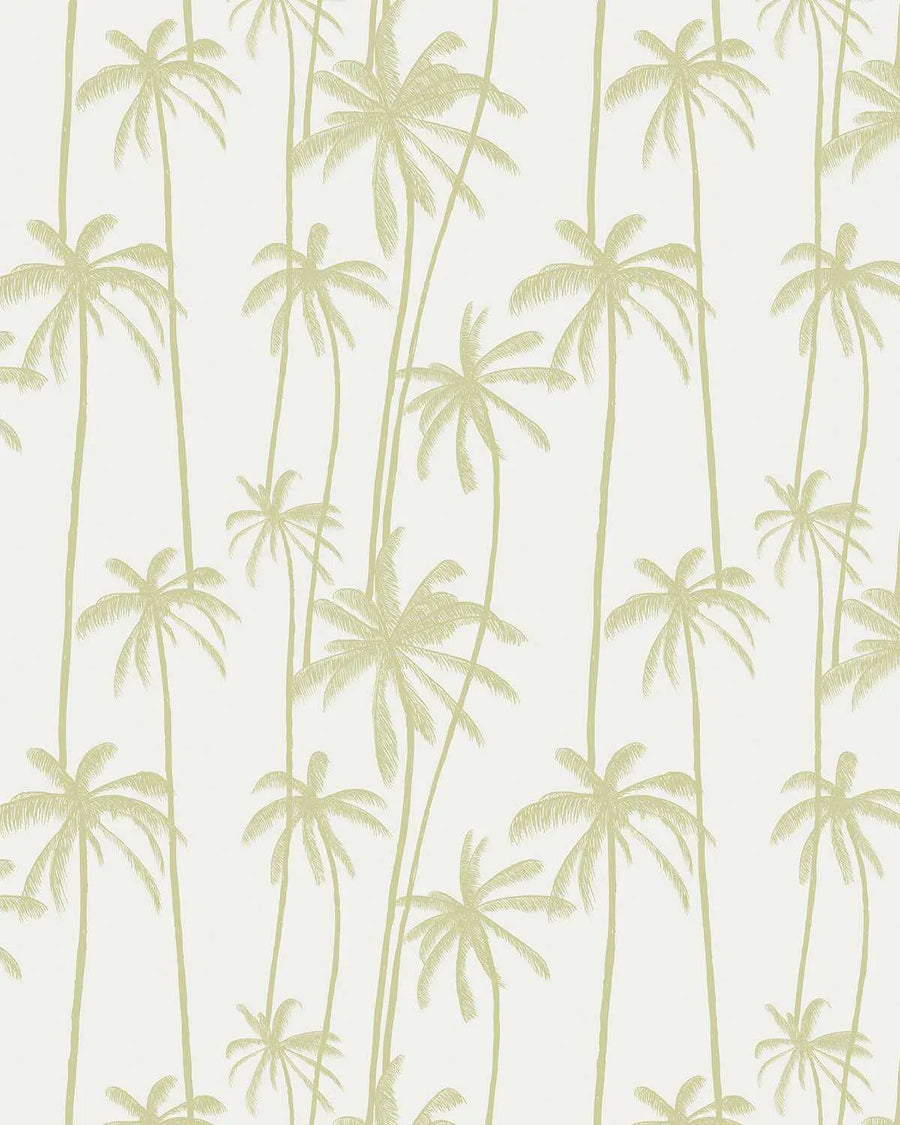Peel and stick wallpaper featuring a repeating pattern of hand-drawn palm trees in a muted pistachio green on a soft white background. The botanical design has a loose, organic quality with visible line texture, depicting palms of varying heights and frond sizes.