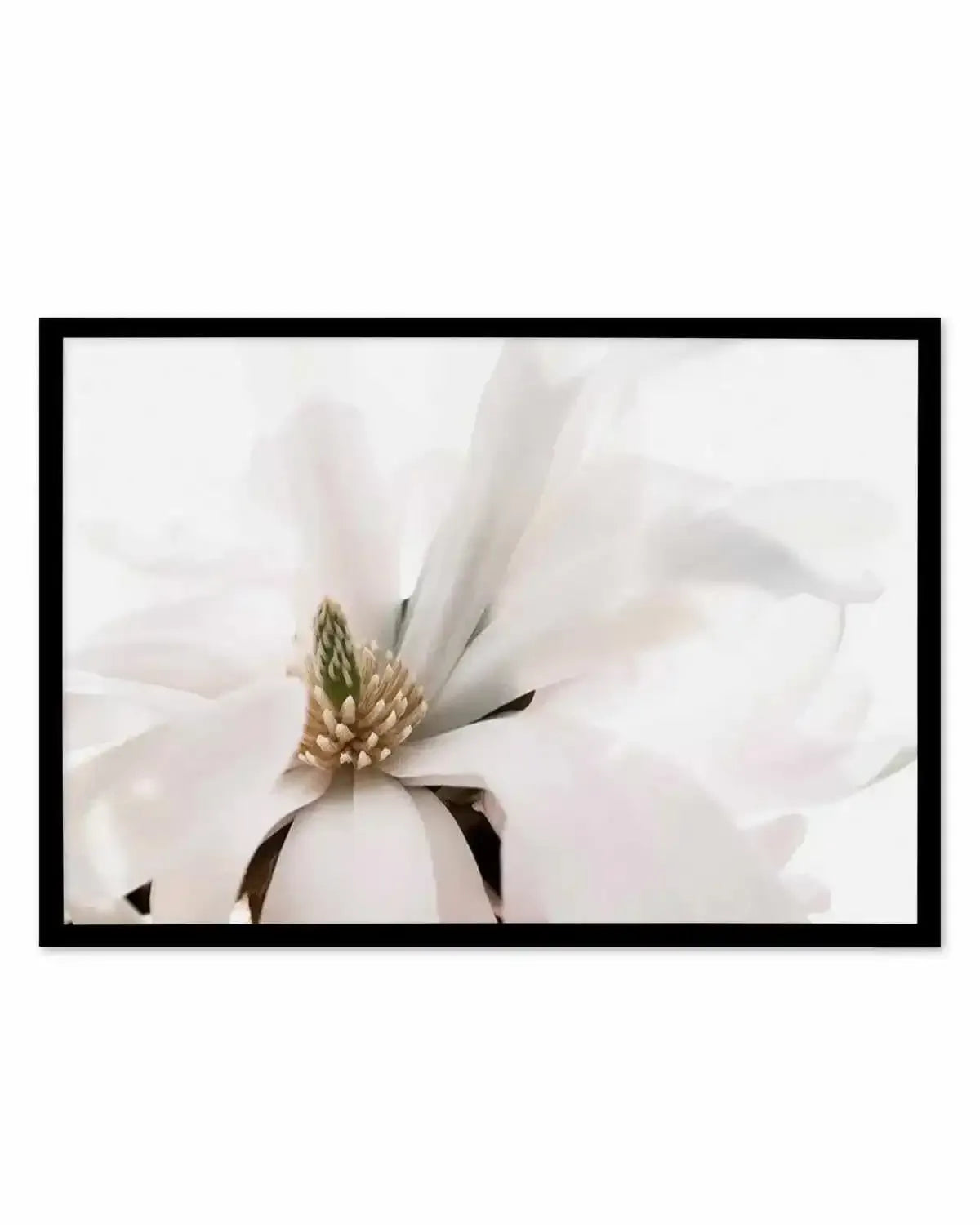 Grace Magnolia Art Print from Olive et Oriel where you can shop wallpaper and artworks online