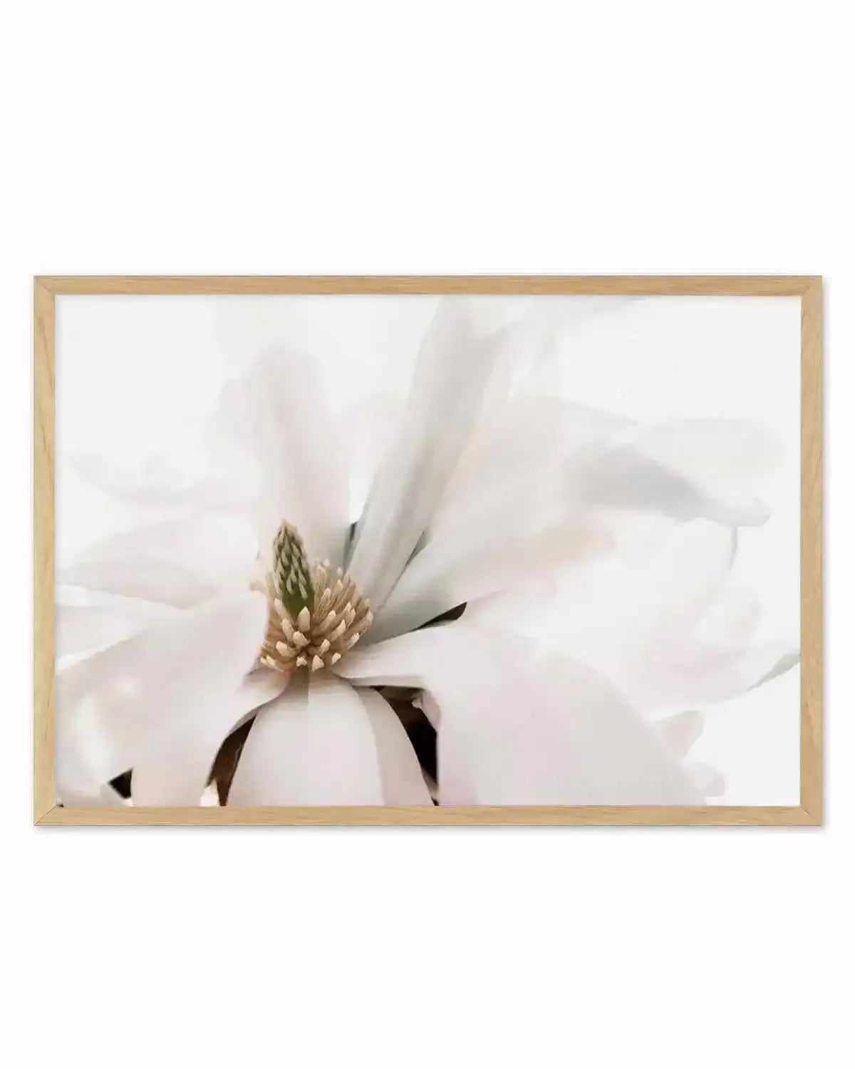 Grace Magnolia Art Print from Olive et Oriel where you can shop wallpaper and artworks online