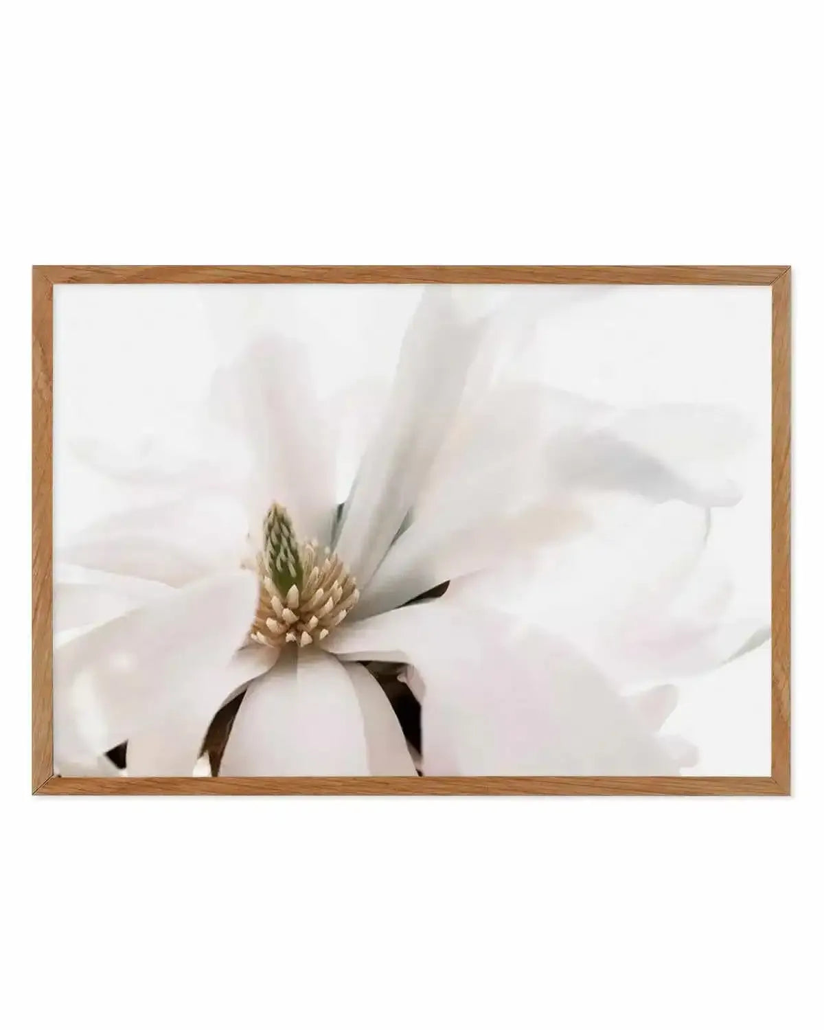 Grace Magnolia Art Print from Olive et Oriel where you can shop wallpaper and artworks online