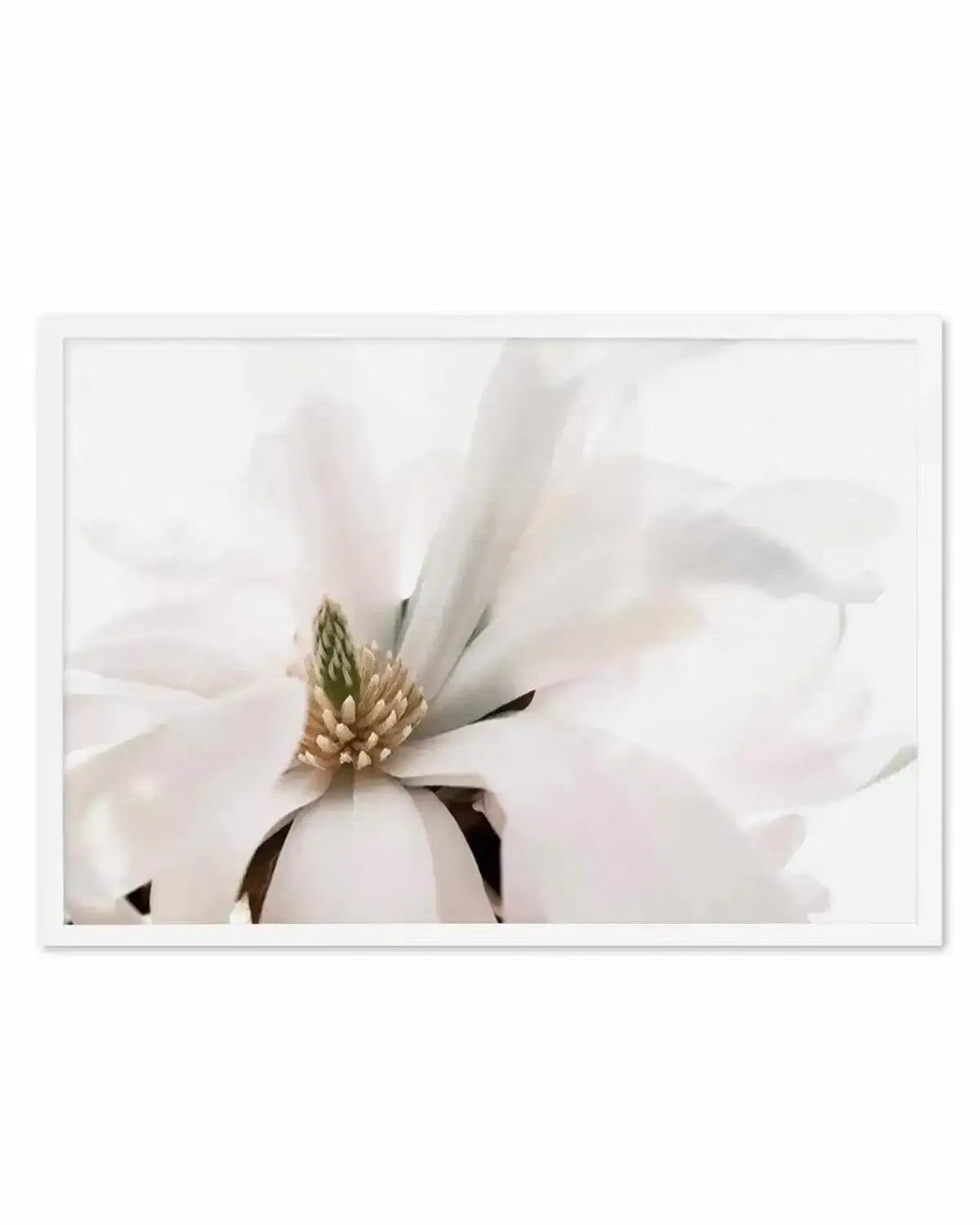 Grace Magnolia Art Print from Olive et Oriel where you can shop wallpaper and artworks online