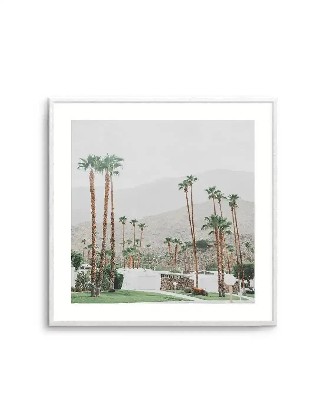 Grass Is Greener | Palm Springs SQ Art Print-PRINT-Olive et Oriel-Olive et Oriel-Buy-Australian-Art-Prints-Online-with-Olive-et-Oriel-Your-Artwork-Specialists-Austrailia-Decorate-With-Coastal-Photo-Wall-Art-Prints-From-Our-Beach-House-Artwork-Collection-Fine-Poster-and-Framed-Artwork