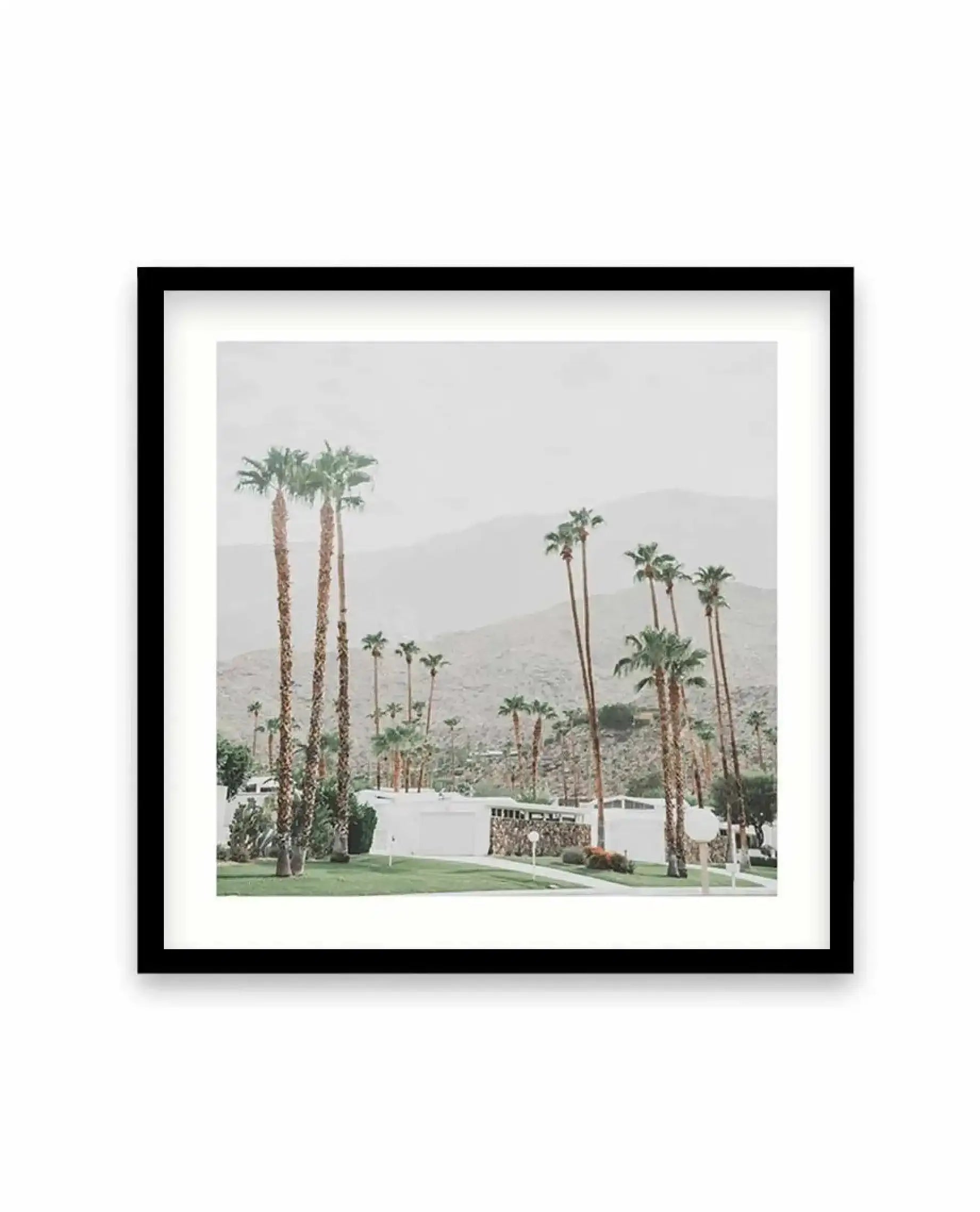 Grass Is Greener | Palm Springs SQ Art Print-PRINT-Olive et Oriel-Olive et Oriel-70x70 cm | 27.5" x 27.5"-Black-With White Border-Buy-Australian-Art-Prints-Online-with-Olive-et-Oriel-Your-Artwork-Specialists-Austrailia-Decorate-With-Coastal-Photo-Wall-Art-Prints-From-Our-Beach-House-Artwork-Collection-Fine-Poster-and-Framed-Artwork