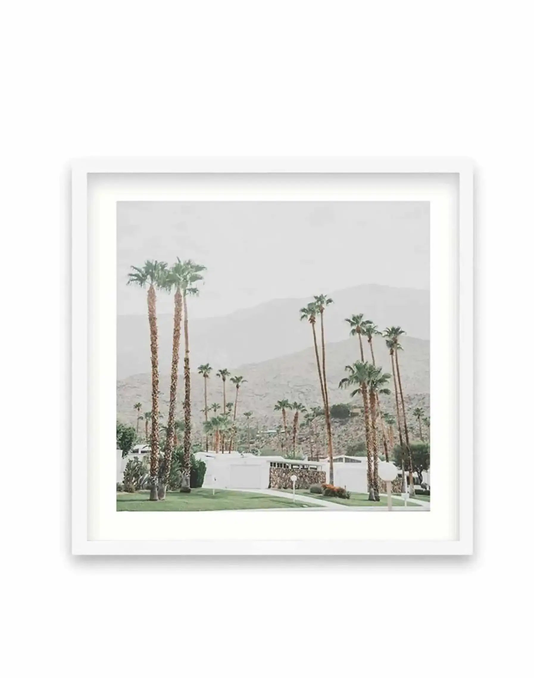 Grass Is Greener | Palm Springs SQ Art Print-PRINT-Olive et Oriel-Olive et Oriel-70x70 cm | 27.5" x 27.5"-White-With White Border-Buy-Australian-Art-Prints-Online-with-Olive-et-Oriel-Your-Artwork-Specialists-Austrailia-Decorate-With-Coastal-Photo-Wall-Art-Prints-From-Our-Beach-House-Artwork-Collection-Fine-Poster-and-Framed-Artwork