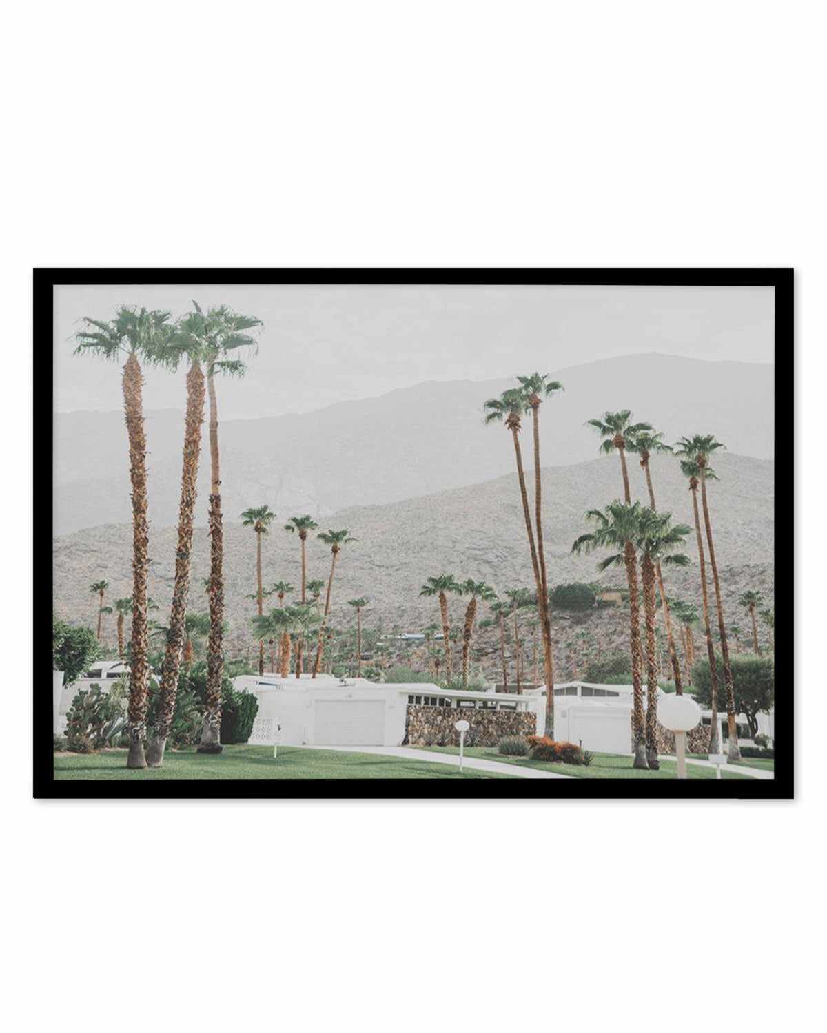 Grass Is Greener | Palm Springs | LS Art Print