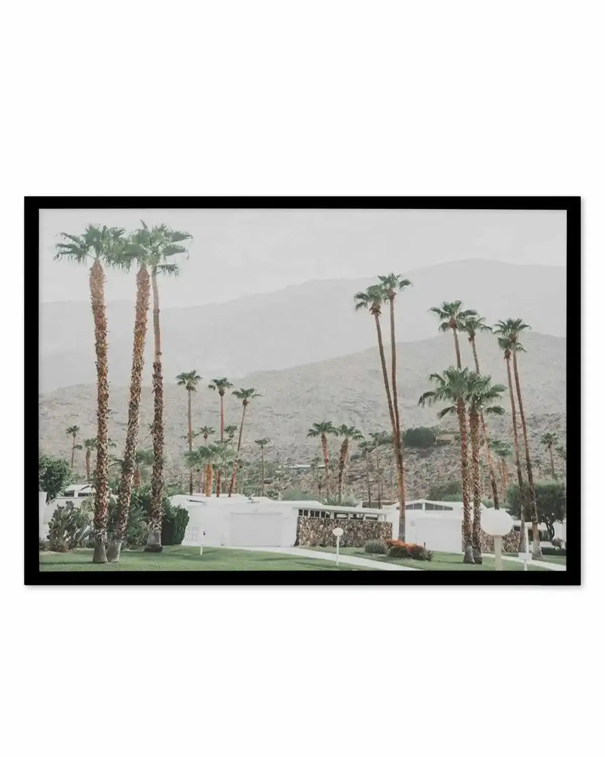 Grass Is Greener | Palm Springs | LS Art Print from Olive et Oriel where you can shop wallpaper and artworks online