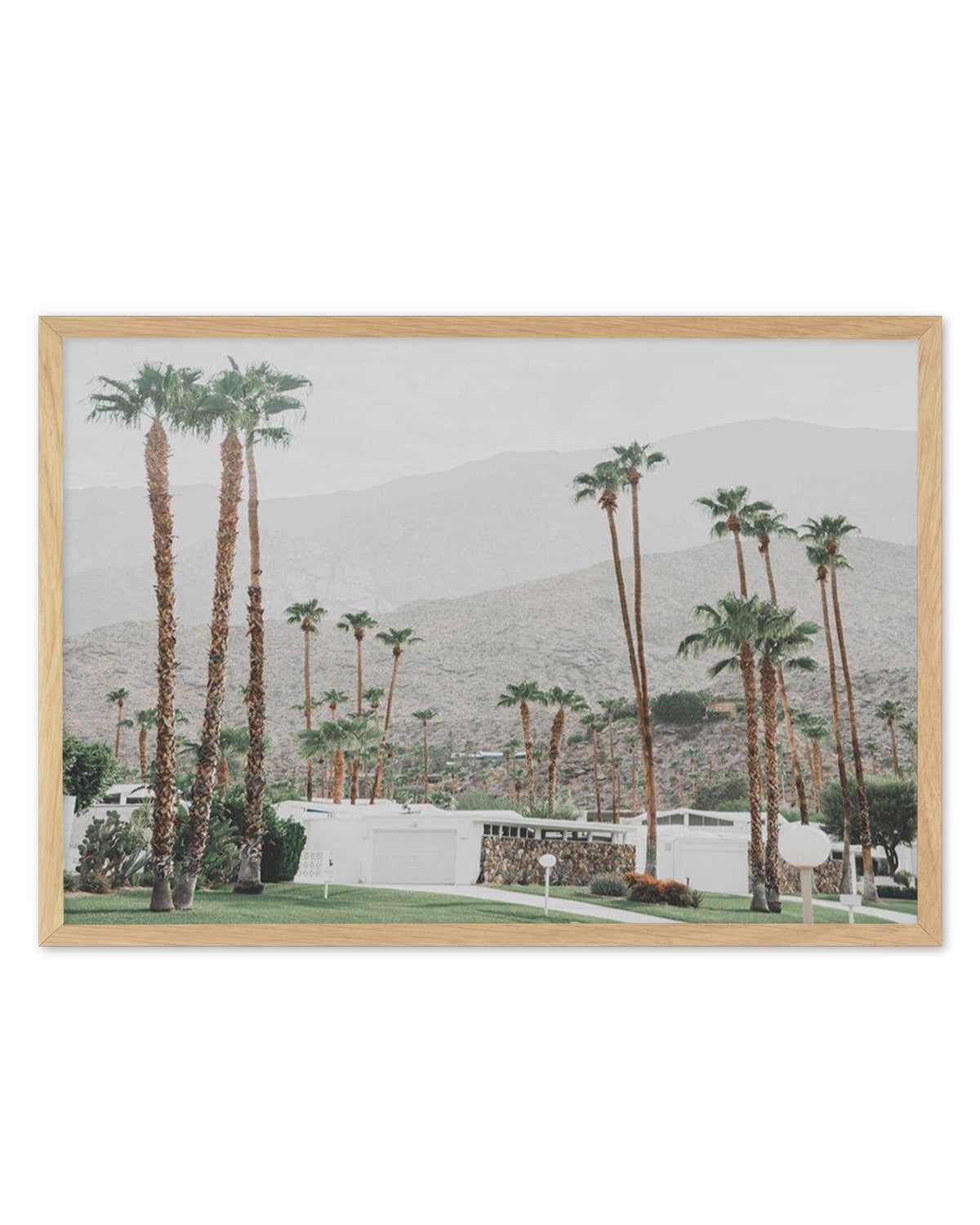 Grass Is Greener | Palm Springs | LS Art Print