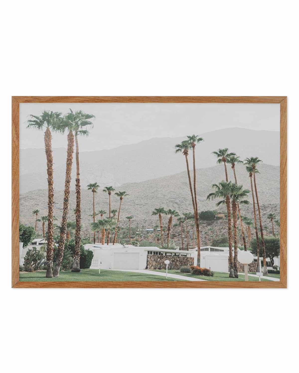 Grass Is Greener | Palm Springs | LS Art Print