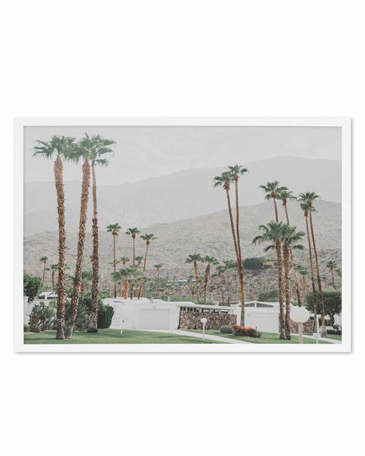 Grass Is Greener | Palm Springs | LS Art Print