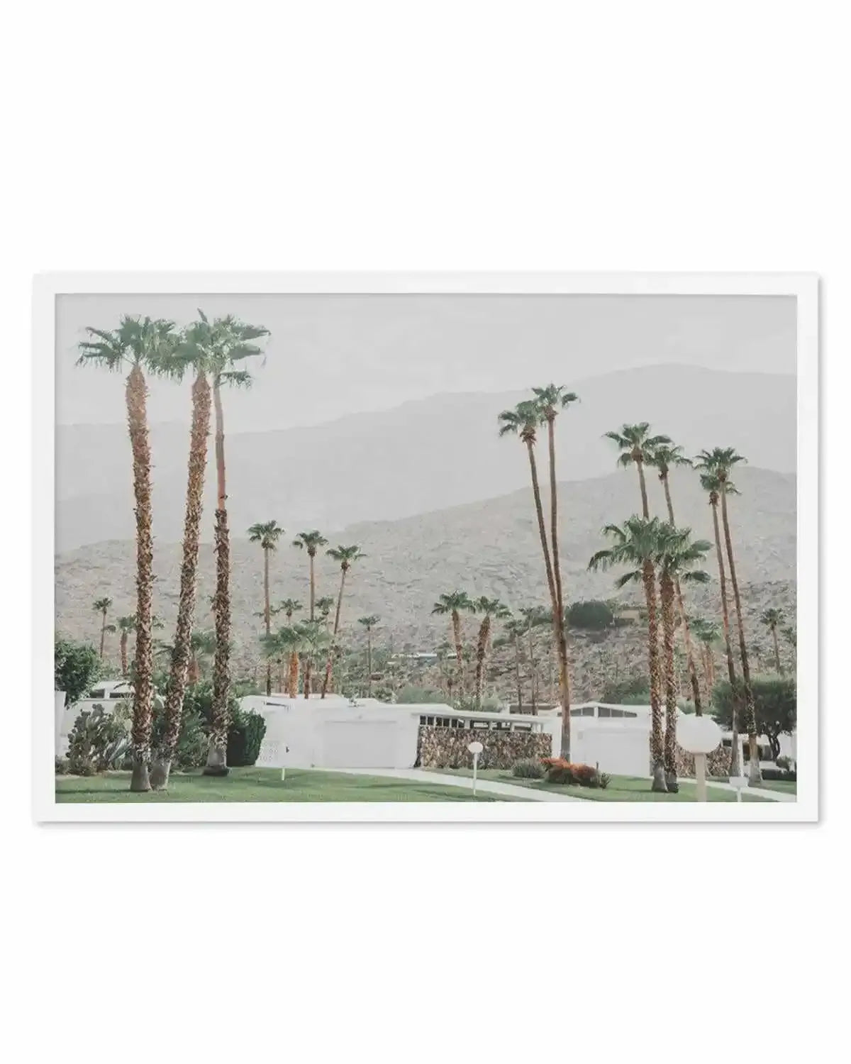 Grass Is Greener | Palm Springs | LS Art Print from Olive et Oriel where you can shop wallpaper and artworks online
