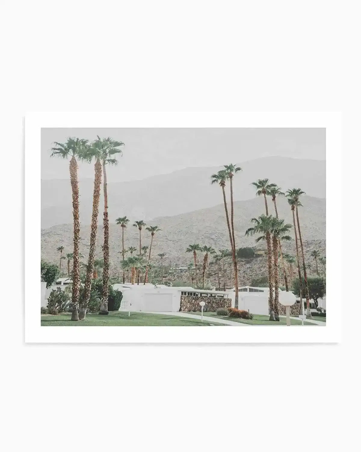 Grass Is Greener | Palm Springs | LS Art Print from Olive et Oriel where you can shop wallpaper and artworks online
