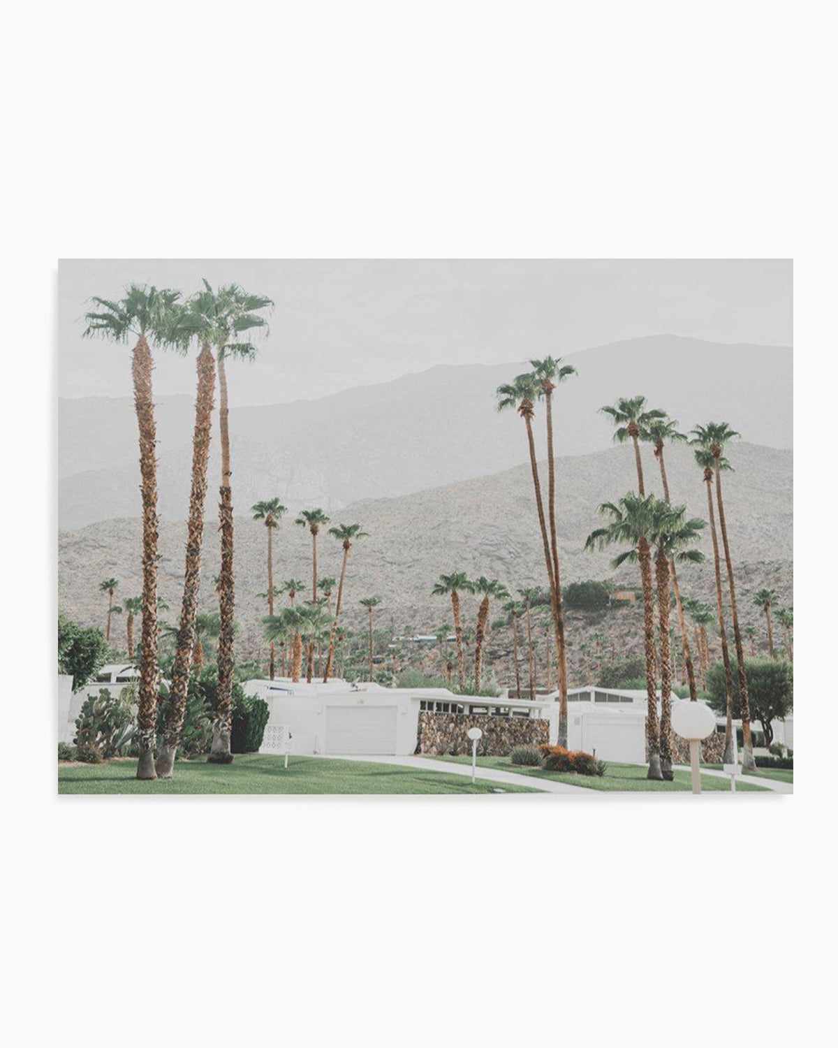 Grass Is Greener | Palm Springs | LS Art Print