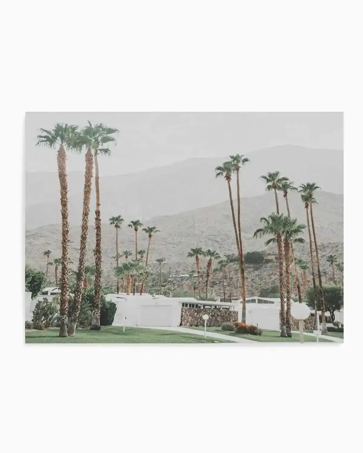 Grass Is Greener | Palm Springs | LS Art Print from Olive et Oriel where you can shop wallpaper and artworks online