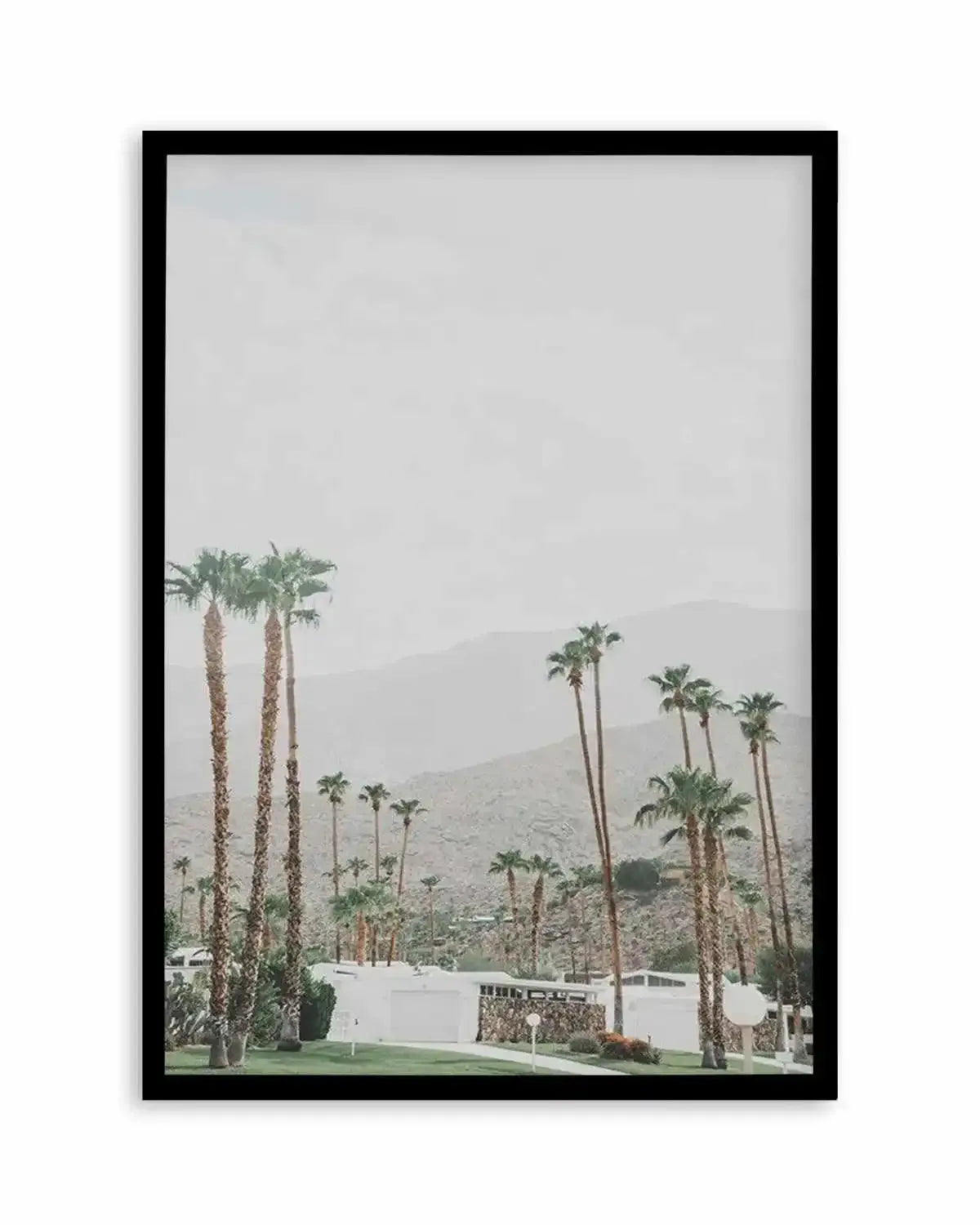 Grass Is Greener | Palm Springs | PT Art Print from Olive et Oriel where you can shop wallpaper and artworks online