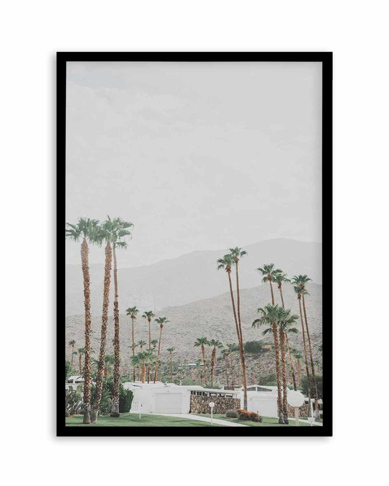 Grass Is Greener | Palm Springs | PT Art Print