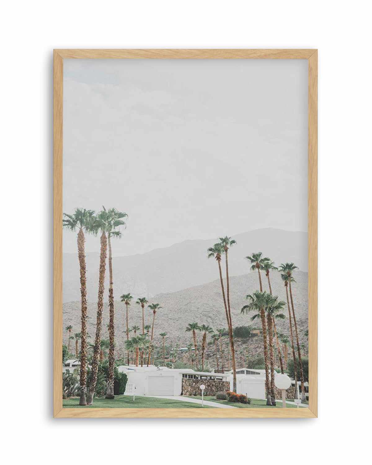 Grass Is Greener | Palm Springs | PT Art Print