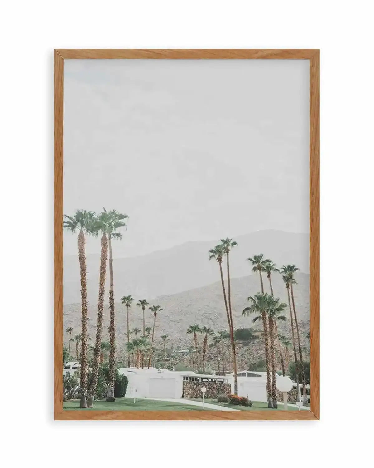 Grass Is Greener | Palm Springs | PT Art Print from Olive et Oriel where you can shop wallpaper and artworks online