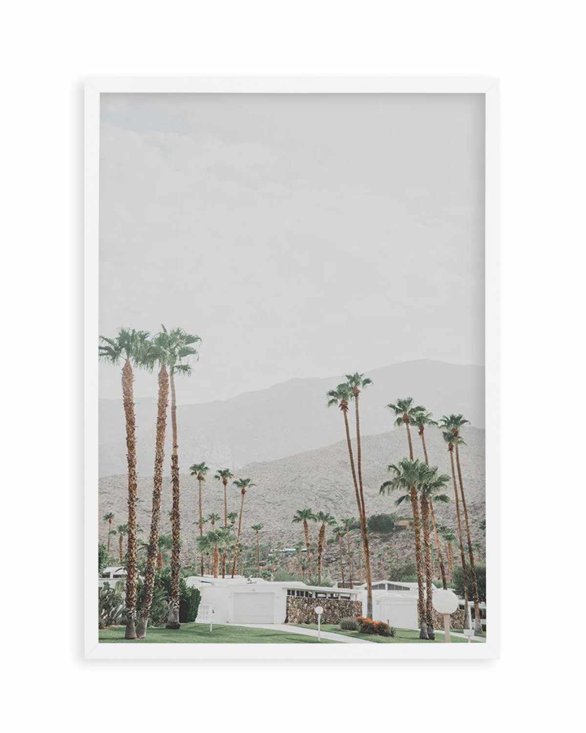 Grass Is Greener | Palm Springs | PT Art Print