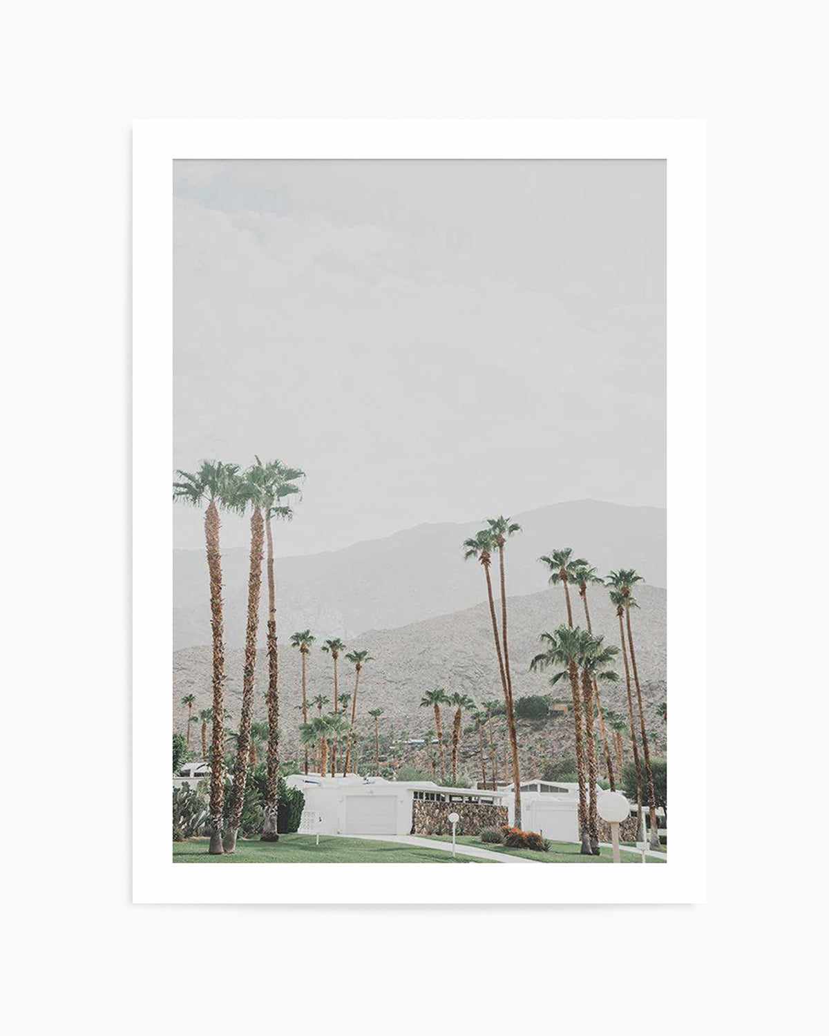 Grass Is Greener | Palm Springs | PT Art Print