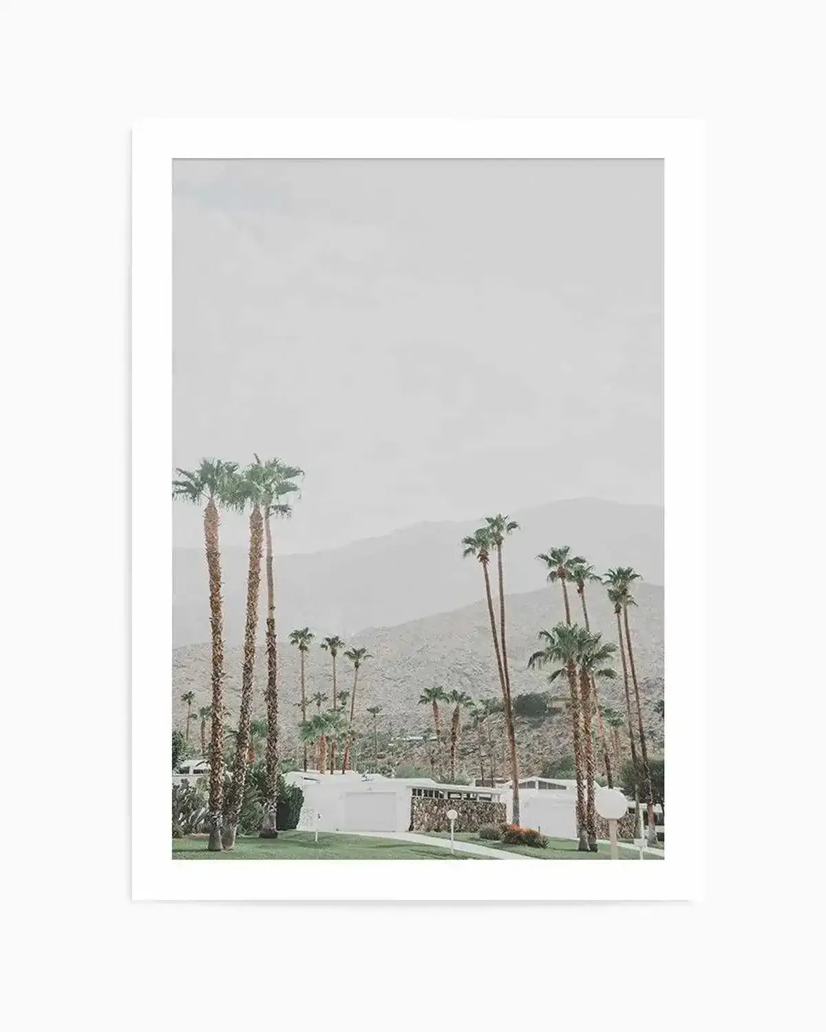 Grass Is Greener | Palm Springs | PT Art Print from Olive et Oriel where you can shop wallpaper and artworks online