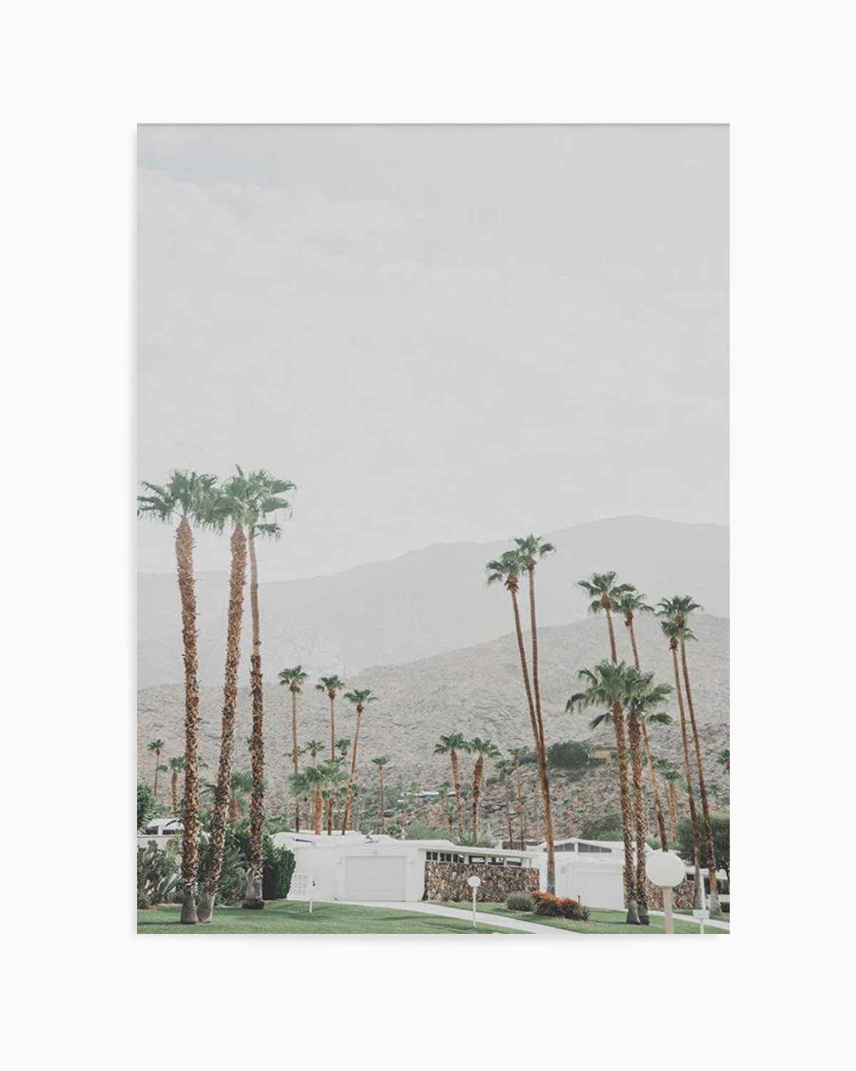 Grass Is Greener | Palm Springs | PT Art Print