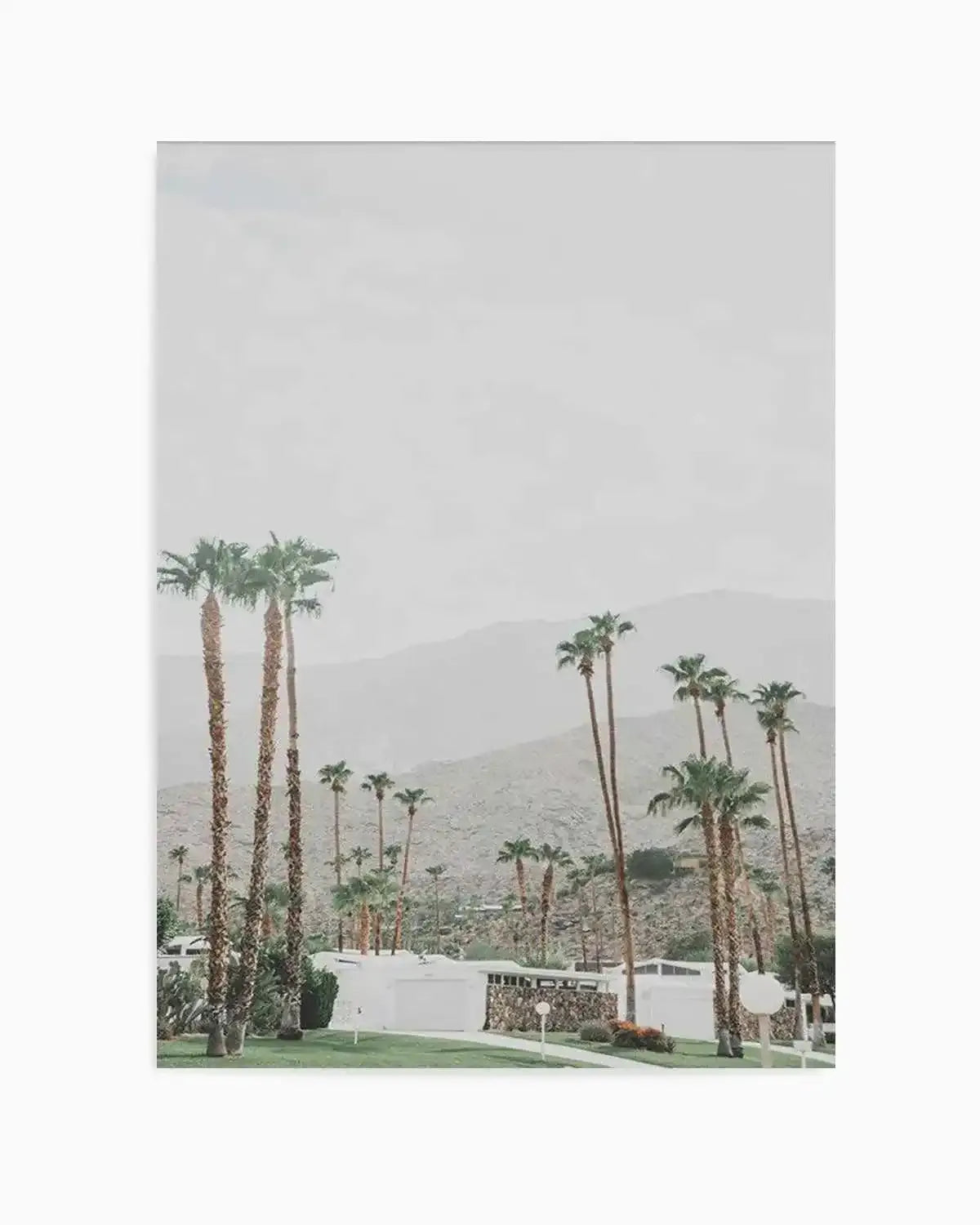 Grass Is Greener | Palm Springs | PT Art Print from Olive et Oriel where you can shop wallpaper and artworks online