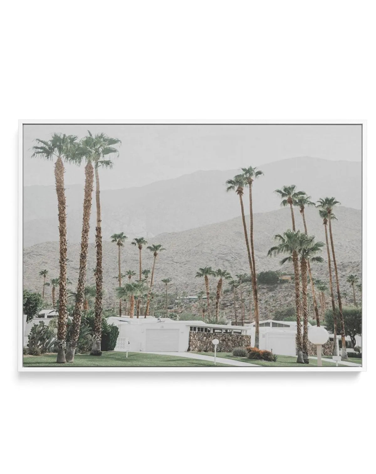 Grass Is Greener | Palm Springs | LS | Framed Canvas-CANVAS-You can shop wall art online with Olive et Oriel for everything from abstract art to fun kids wall art. Our beautiful modern art prints and canvas art are available from large canvas prints to wall art paintings and our proudly Australian artwork collection offers only the highest quality framed large wall art and canvas art Australia - You can buy fashion photography prints or Hampton print posters and paintings on canvas from Olive et