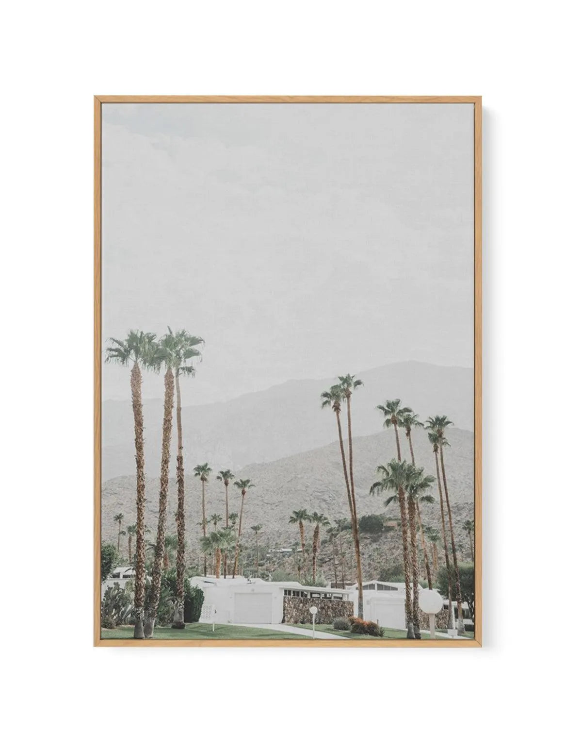 Grass Is Greener | Palm Springs | PT | Framed Canvas-CANVAS-You can shop wall art online with Olive et Oriel for everything from abstract art to fun kids wall art. Our beautiful modern art prints and canvas art are available from large canvas prints to wall art paintings and our proudly Australian artwork collection offers only the highest quality framed large wall art and canvas art Australia - You can buy fashion photography prints or Hampton print posters and paintings on canvas from Olive et
