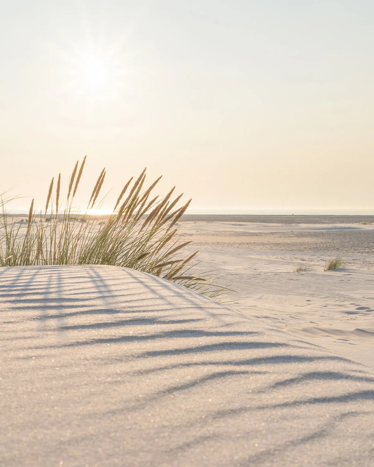 Grassy Beach Sunrise Photo Mural Wallpaper from Olive et Oriel where you can shop wallpaper and artworks online