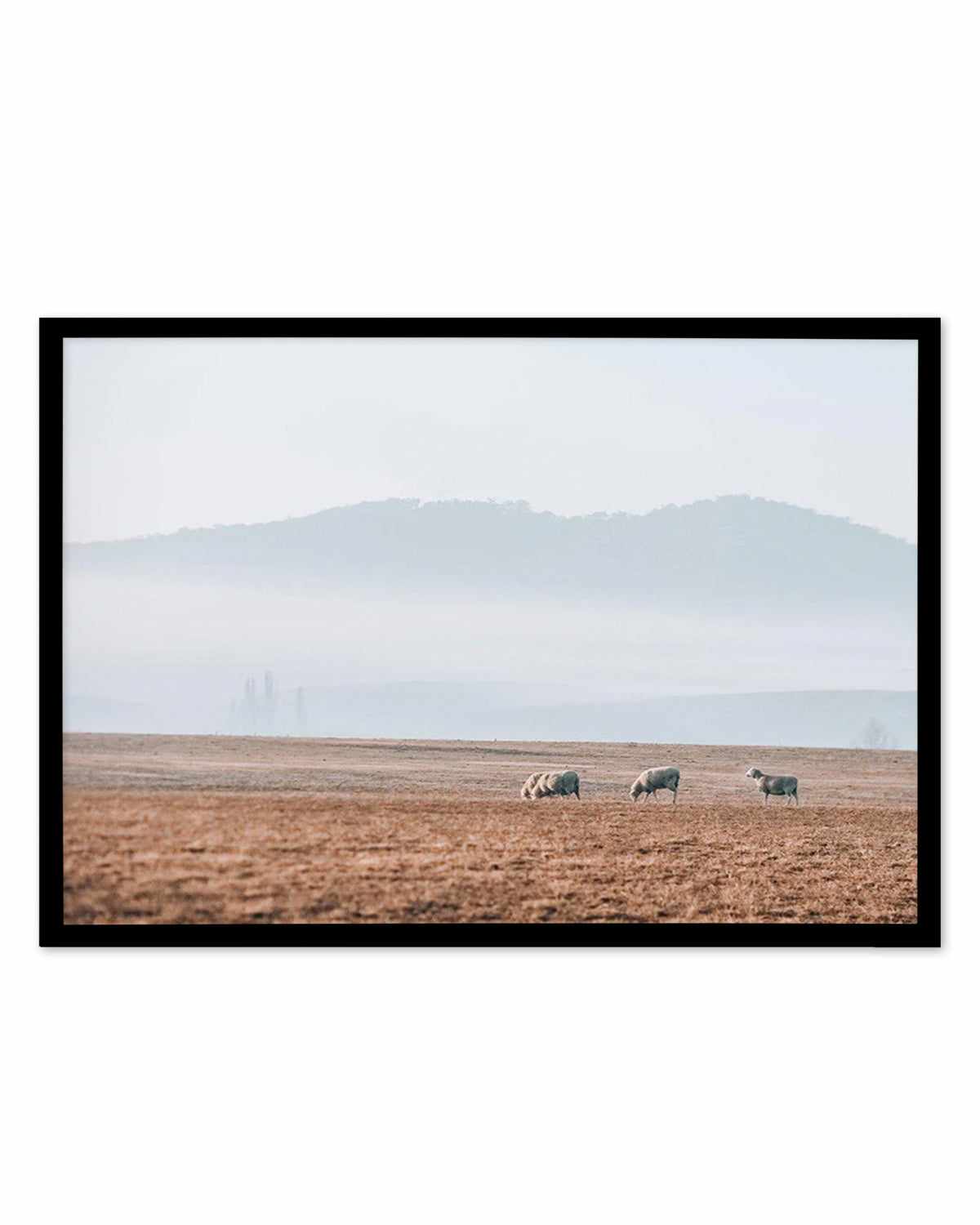 Grazing Lands Art Print