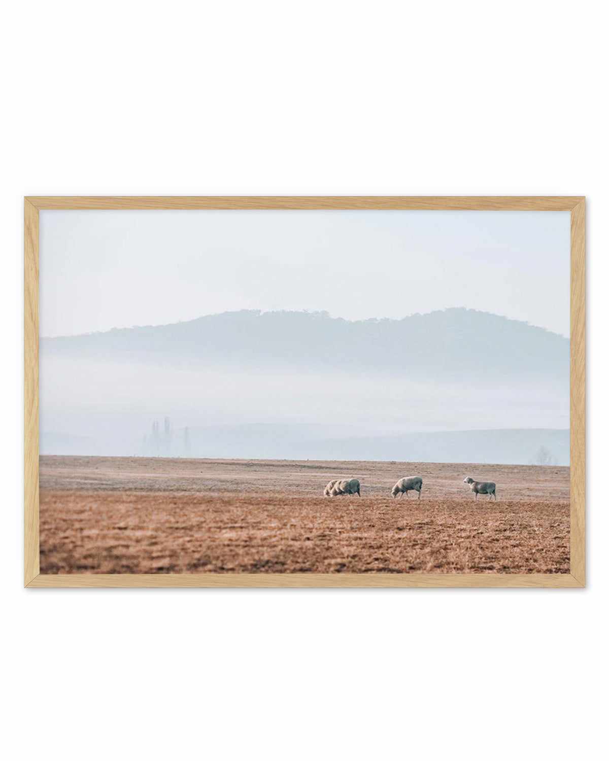 Grazing Lands Art Print