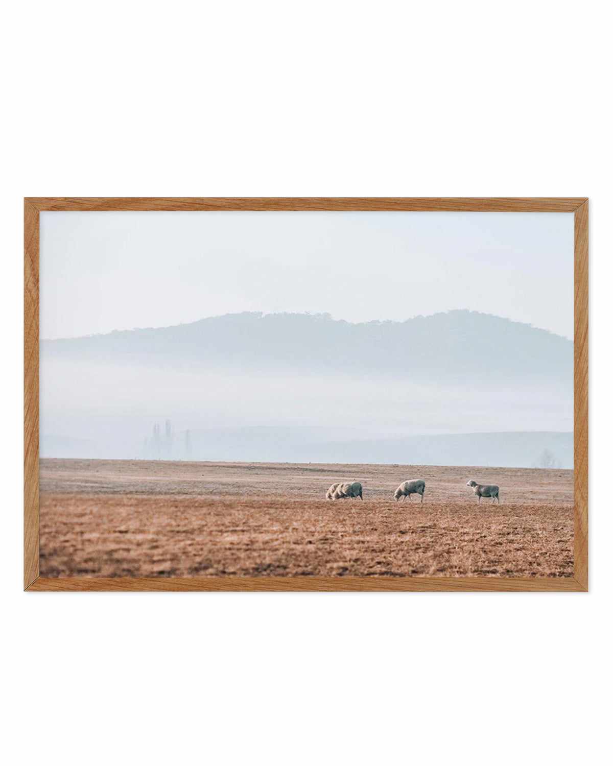 Grazing Lands Art Print