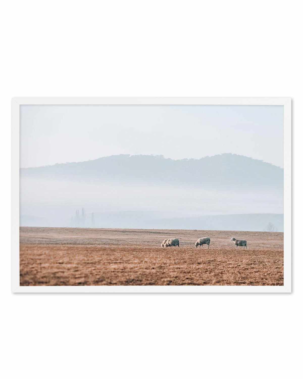 Grazing Lands Art Print