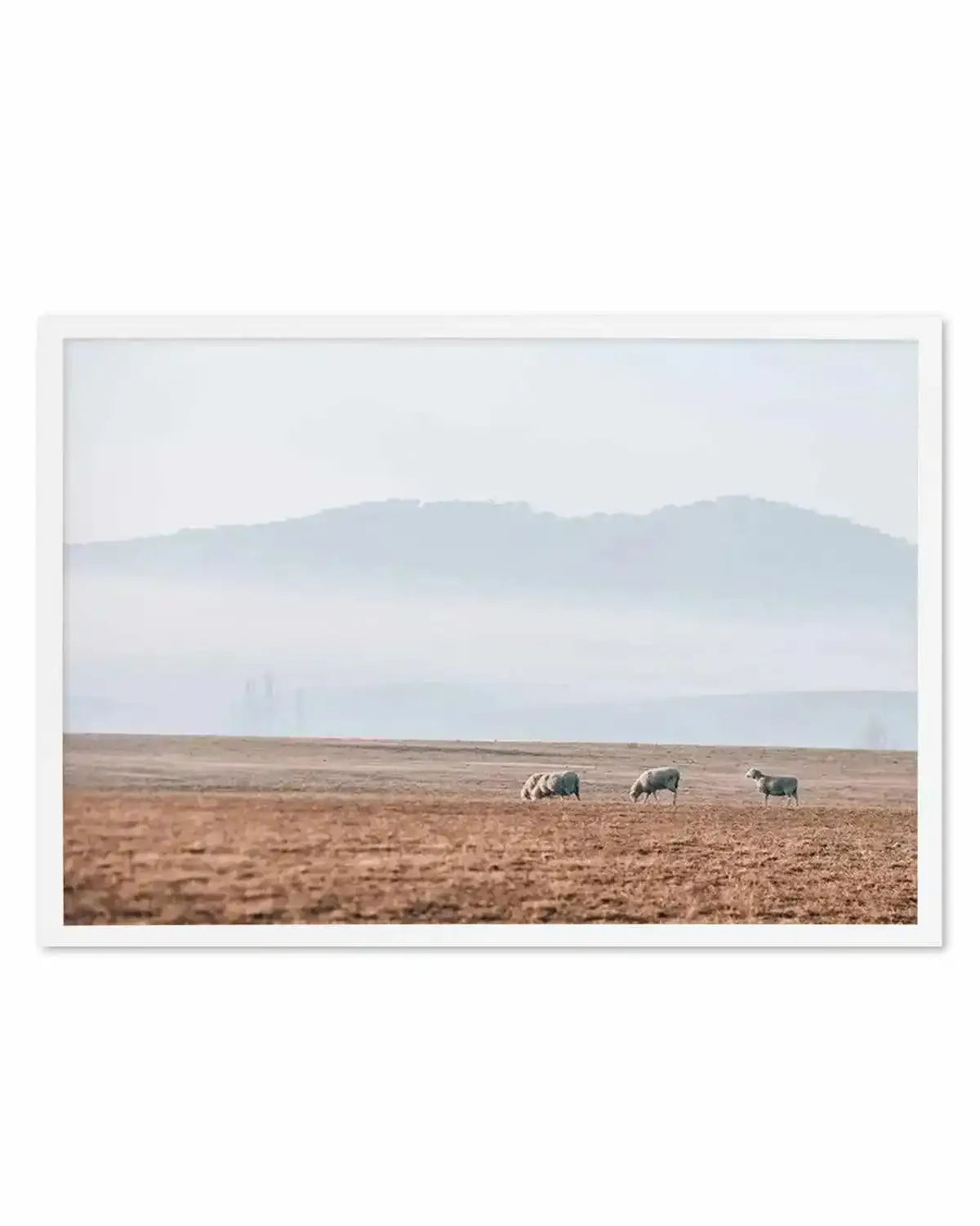 Grazing Lands Art Print from Olive et Oriel where you can shop wallpaper and artworks online