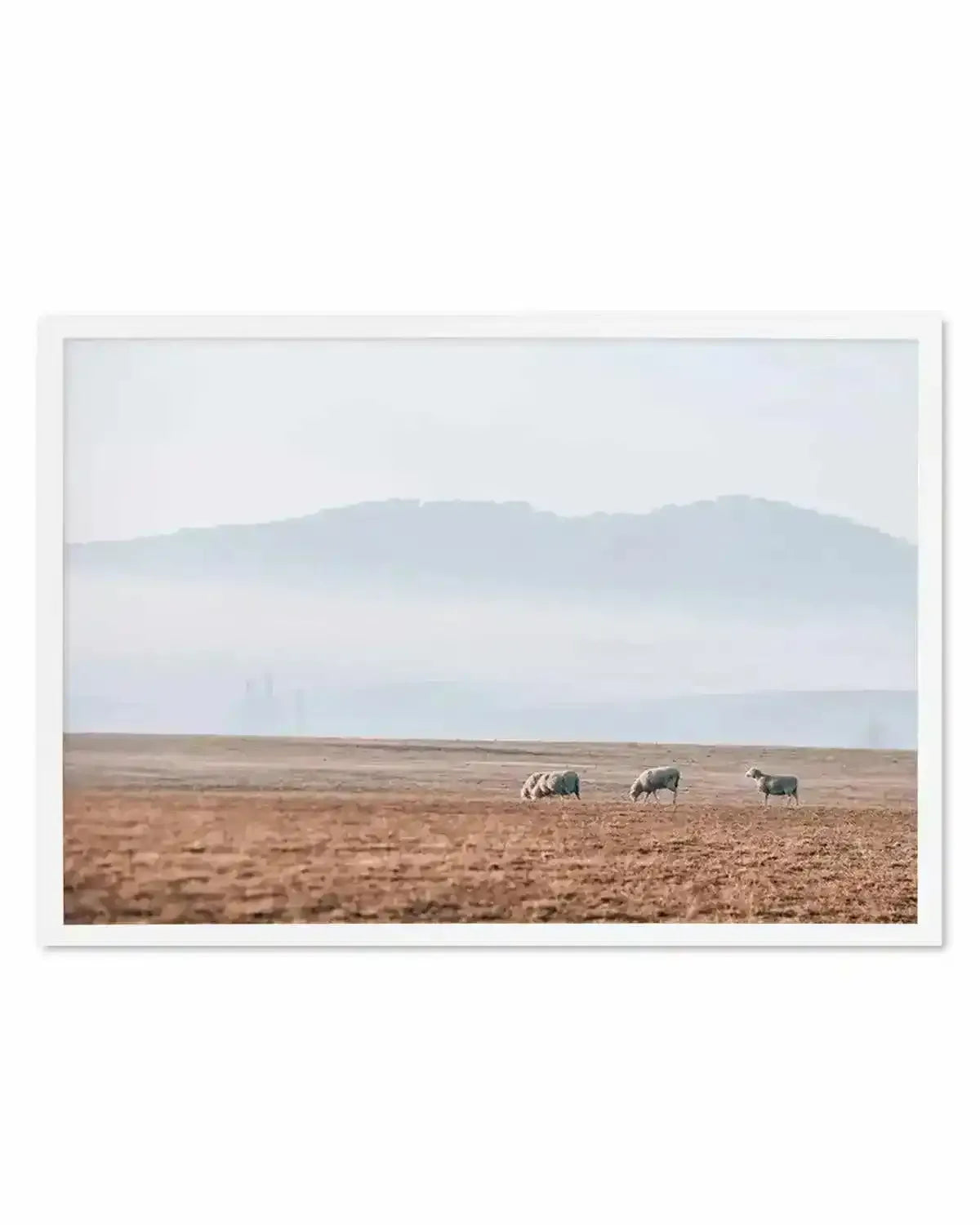Grazing Lands Art Print from Olive et Oriel where you can shop wallpaper and artworks online