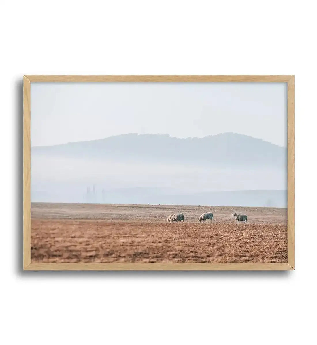 Grazing Lands Art Print-PRINT-Olive et Oriel-Olive et Oriel-A3 | 11.7" x 16.5" | 29.7 x 42 cm-Oak-With White Border-Buy-Australian-Art-Prints-Online-with-Olive-et-Oriel-Your-Artwork-Specialists-Austrailia-Decorate-With-Coastal-Photo-Wall-Art-Prints-From-Our-Beach-House-Artwork-Collection-Fine-Poster-and-Framed-Artwork