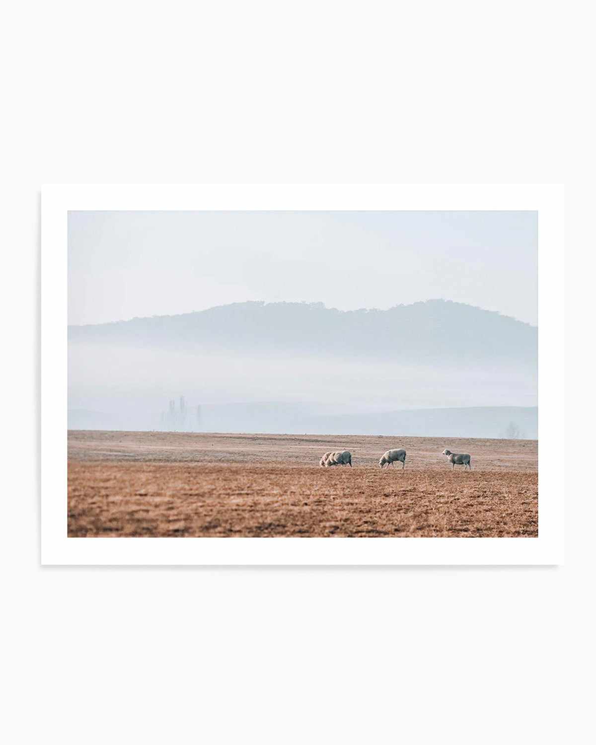 Grazing Lands Art Print