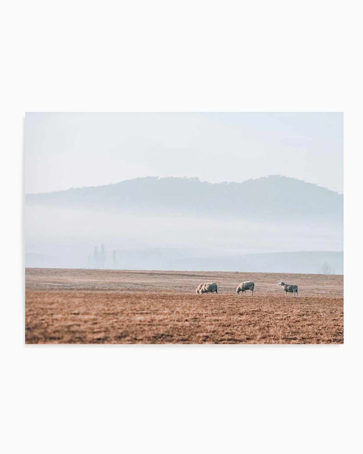 Grazing Lands Art Print